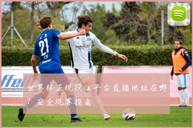 世界杯正规投注平台直播地址在哪？安全观赛指南