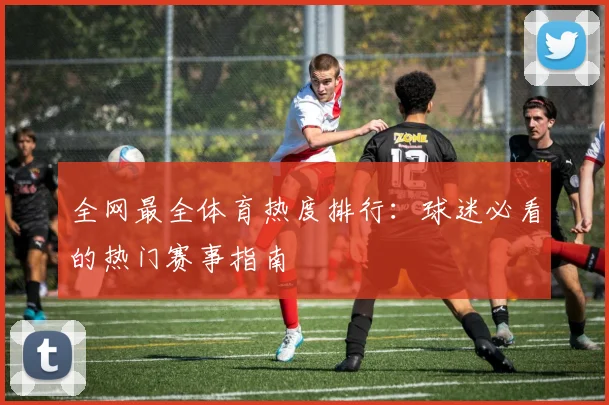 全网最全体育热度排行:球迷必看的热门赛事指南