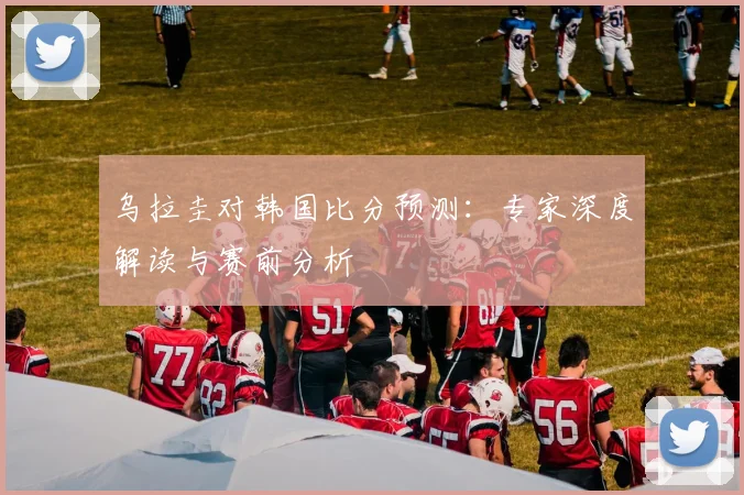 乌拉圭对韩国比分预测：专家深度解读与赛前分析