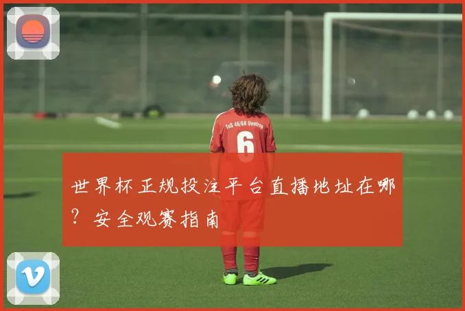 世界杯正规投注平台直播地址在哪？安全观赛指南